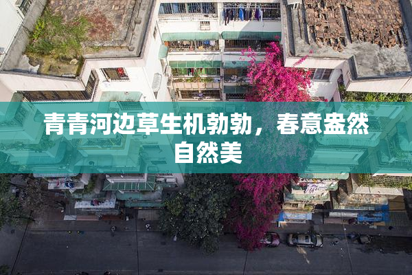 青青河边草生机勃勃，春意盎然自然美