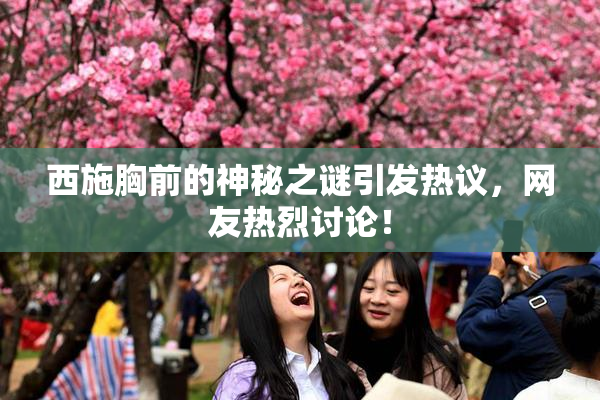 西施胸前的神秘之谜引发热议，网友热烈讨论！