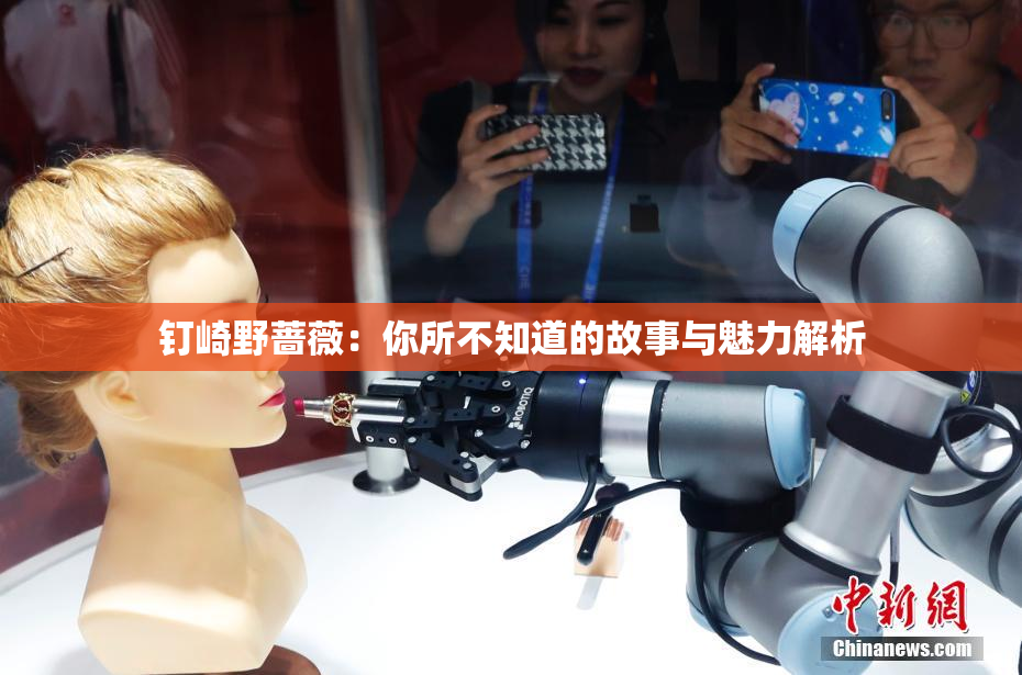 钉崎野蔷薇：你所不知道的故事与魅力解析