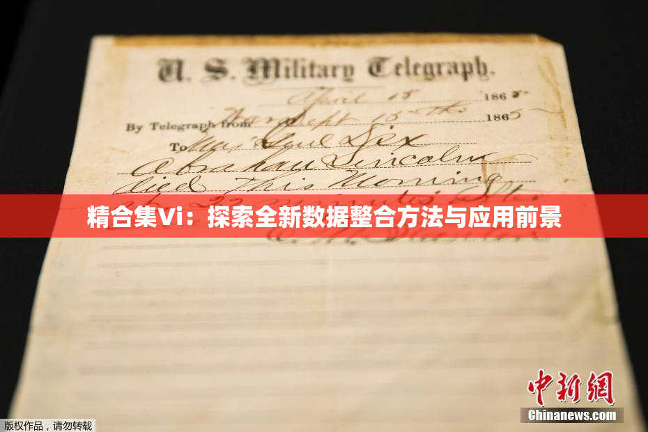 精合集Vi：探索全新数据整合方法与应用前景