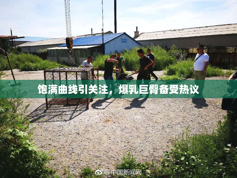 饱满曲线引关注，爆乳巨臀备受热议