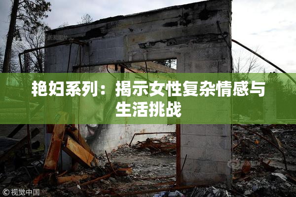 艳妇系列：揭示女性复杂情感与生活挑战
