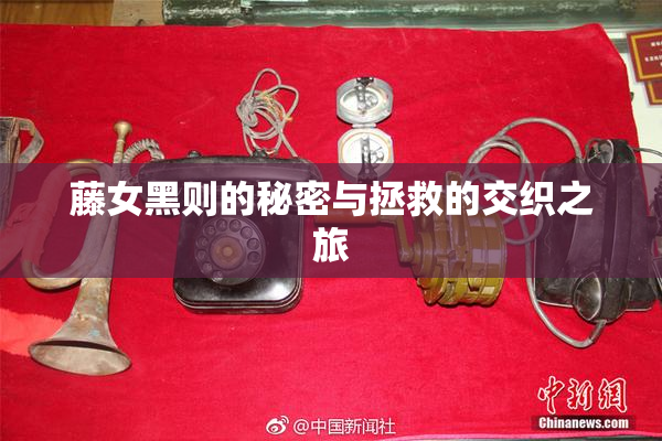 藤女黑则的秘密与拯救的交织之旅
