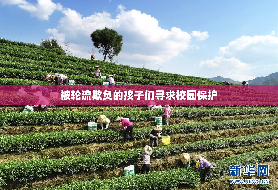 被轮流欺负的孩子们寻求校园保护