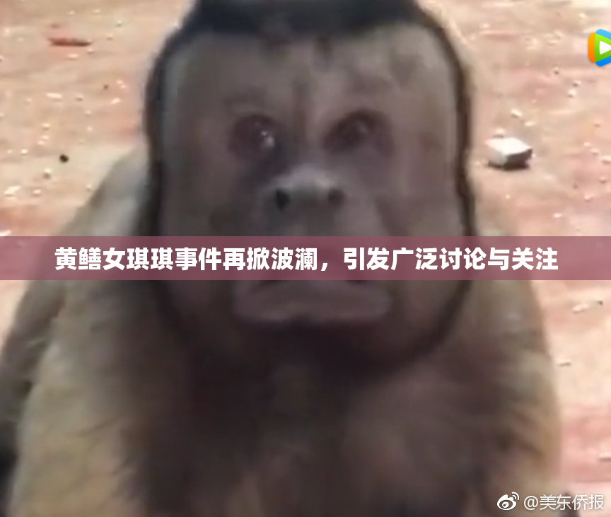 黄鳝女琪琪事件再掀波澜，引发广泛讨论与关注