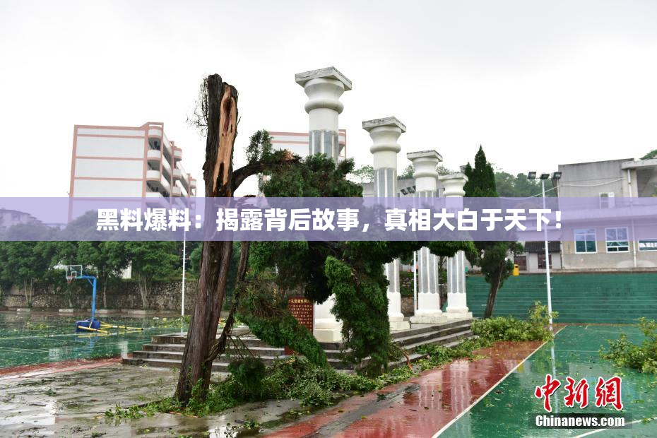 黑料爆料：揭露背后故事，真相大白于天下！