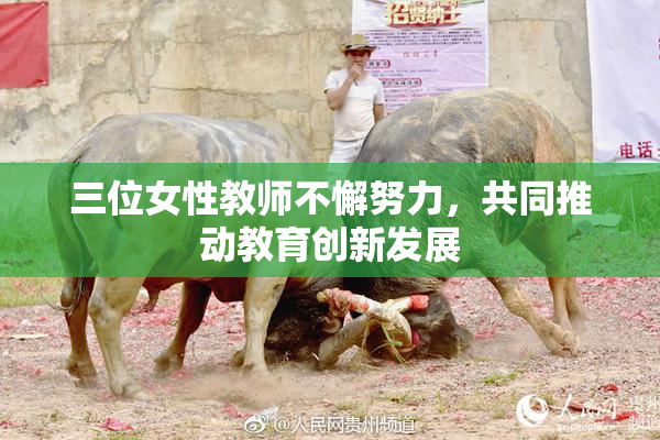 三位女性教师不懈努力，共同推动教育创新发展