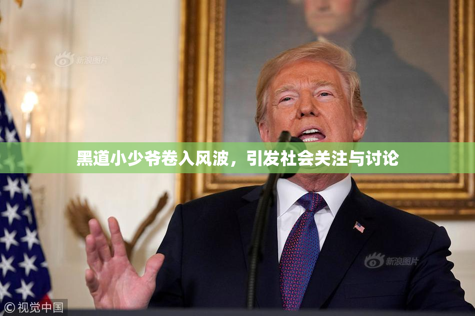 黑道小少爷卷入风波，引发社会关注与讨论