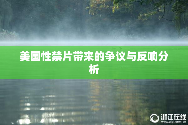 美国性禁片带来的争议与反响分析