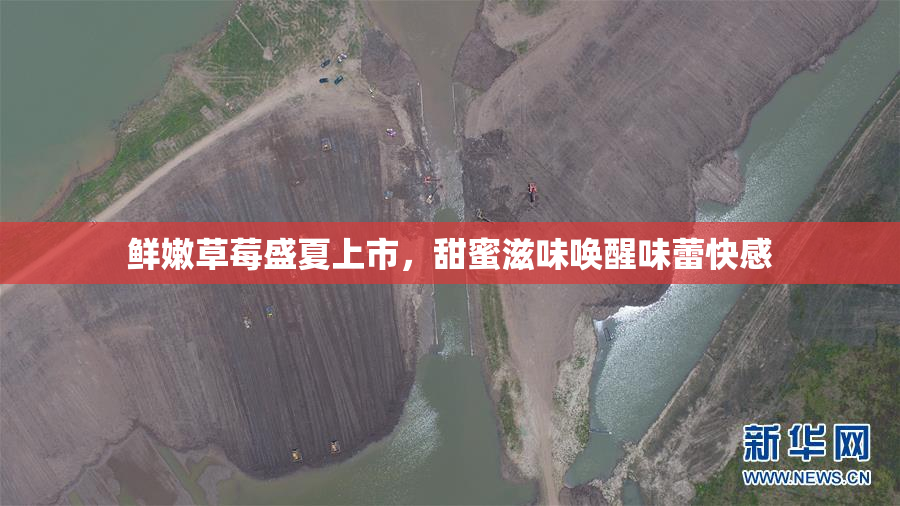 鲜嫩草莓盛夏上市，甜蜜滋味唤醒味蕾快感