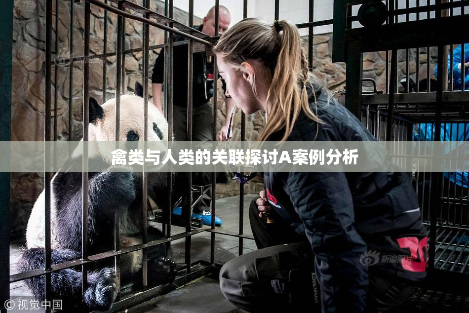 禽类与人类的关联探讨A案例分析