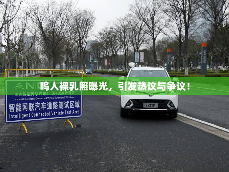 鸣人裸乳照曝光，引发热议与争议！