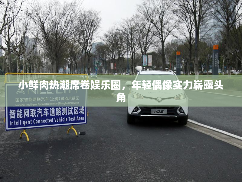 小鲜肉热潮席卷娱乐圈，年轻偶像实力崭露头角