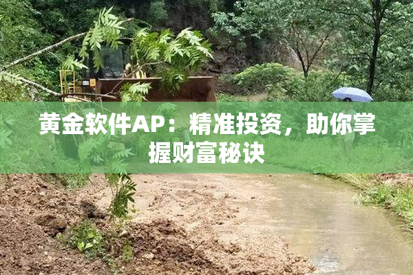 黄金软件AP：精准投资，助你掌握财富秘诀