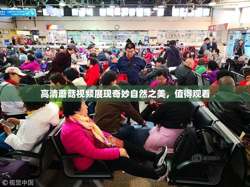 高清蘑菇视频展现奇妙自然之美，值得观看