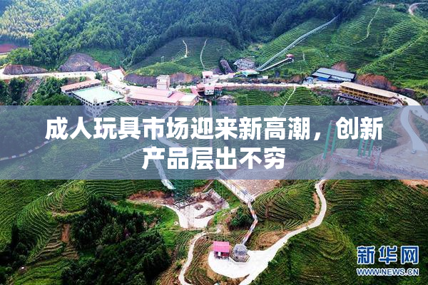 成人玩具市场迎来新高潮，创新产品层出不穷