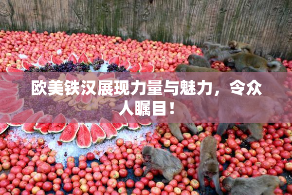 欧美铁汉展现力量与魅力，令众人瞩目！
