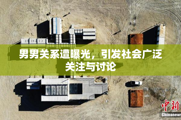 男男关系遭曝光，引发社会广泛关注与讨论