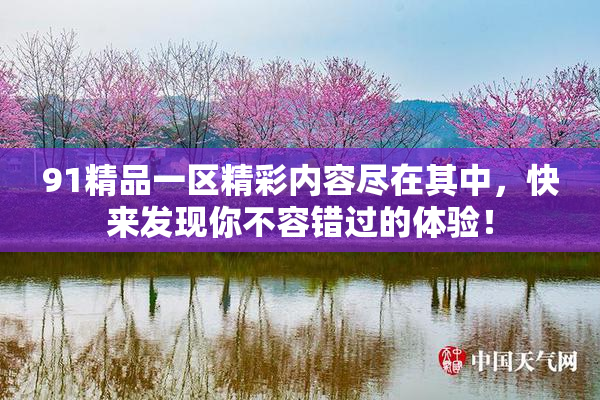 91精品一区精彩内容尽在其中，快来发现你不容错过的体验！
