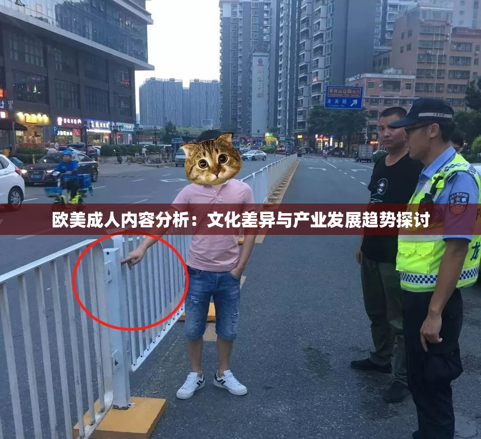 欧美成人内容分析：文化差异与产业发展趋势探讨