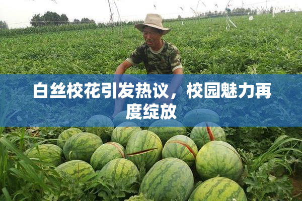 白丝校花引发热议，校园魅力再度绽放