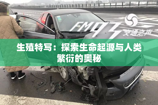 生殖特写：探索生命起源与人类繁衍的奥秘