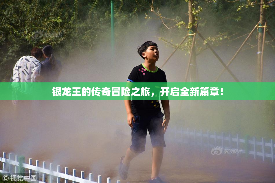 银龙王的传奇冒险之旅，开启全新篇章！