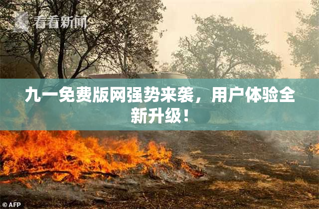 九一免费版网强势来袭，用户体验全新升级！