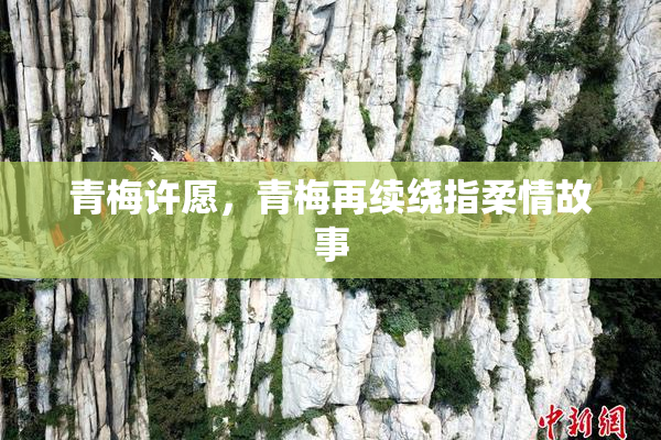 青梅许愿，青梅再续绕指柔情故事