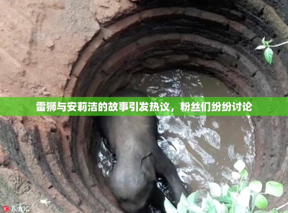 雷狮与安莉洁的故事引发热议，粉丝们纷纷讨论