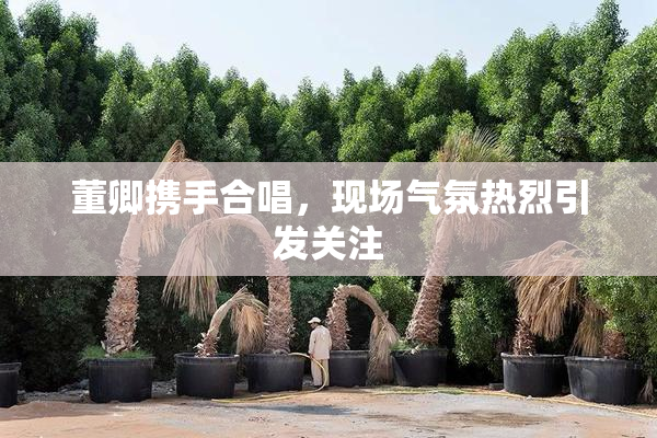 董卿携手合唱，现场气氛热烈引发关注