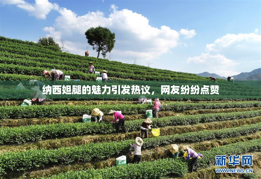 纳西妲腿的魅力引发热议，网友纷纷点赞