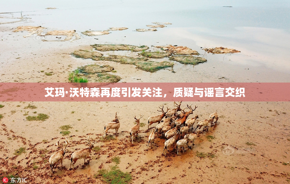 艾玛·沃特森再度引发关注，质疑与谣言交织