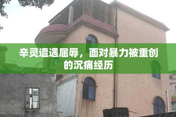 辛灵遭遇屈辱，面对暴力被重创的沉痛经历