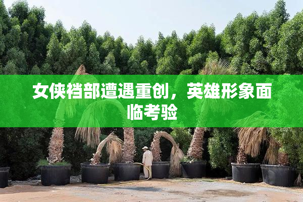 女侠裆部遭遇重创，英雄形象面临考验