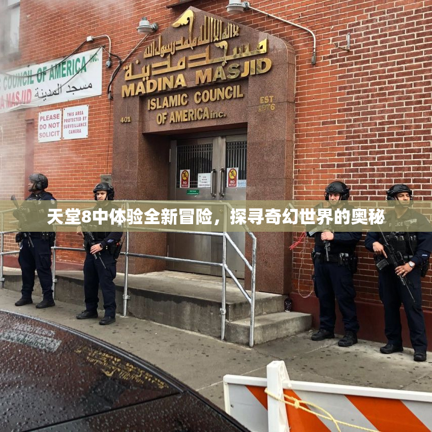 天堂8中体验全新冒险，探寻奇幻世界的奥秘