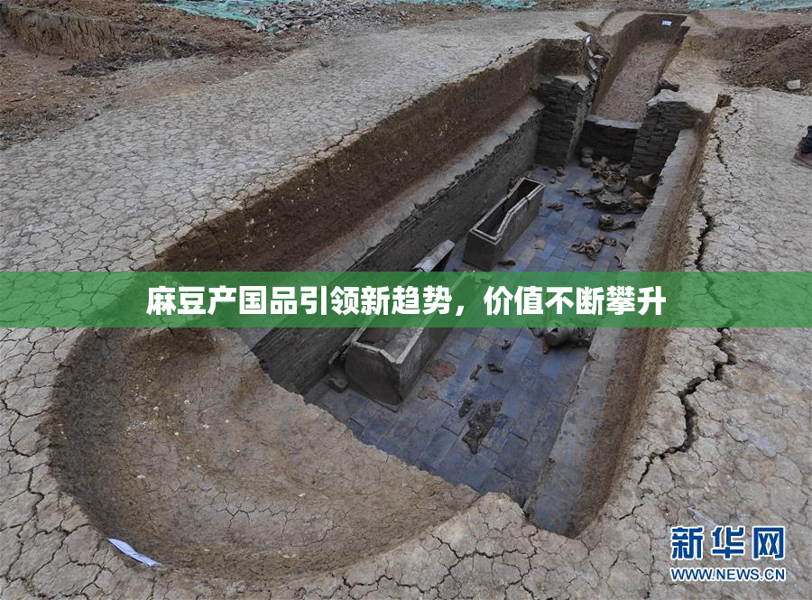 麻豆产国品引领新趋势，价值不断攀升