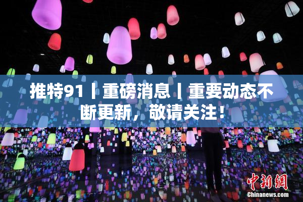 推特91丨重磅消息丨重要动态不断更新，敬请关注！