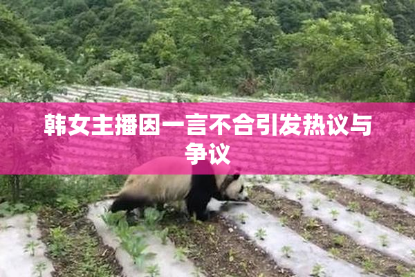 韩女主播因一言不合引发热议与争议