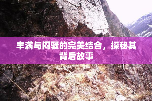 丰满与闷骚的完美结合，探秘其背后故事