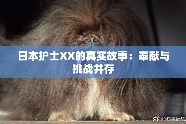 日本护士XX的真实故事：奉献与挑战并存