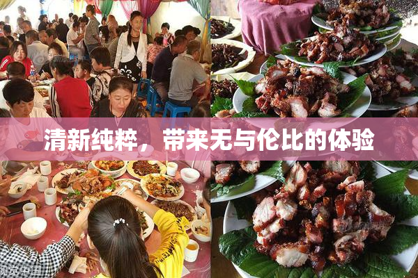 清新纯粹，带来无与伦比的体验