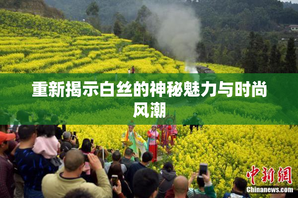重新揭示白丝的神秘魅力与时尚风潮