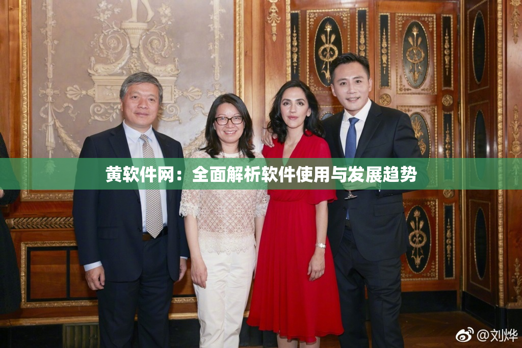 黄软件网：全面解析软件使用与发展趋势