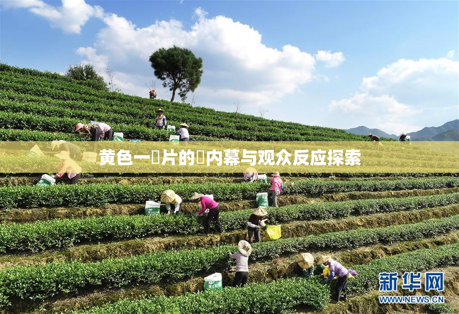 黄色一級片的黃内幕与观众反应探索
