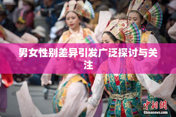 男女性别差异引发广泛探讨与关注
