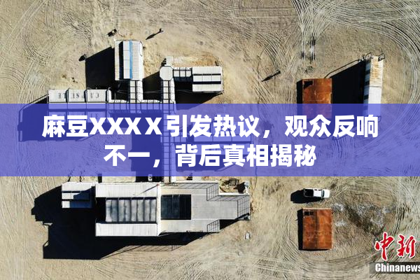 麻豆XXXⅩ引发热议，观众反响不一，背后真相揭秘