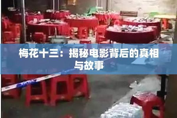 梅花十三：揭秘电影背后的真相与故事