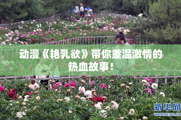动漫《艳乳欲》带你重温激情的热血故事！