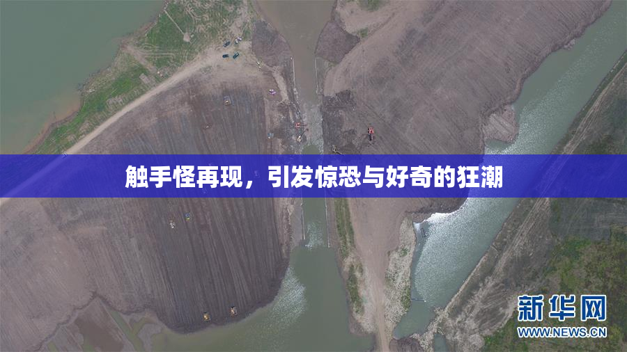 触手怪再现，引发惊恐与好奇的狂潮